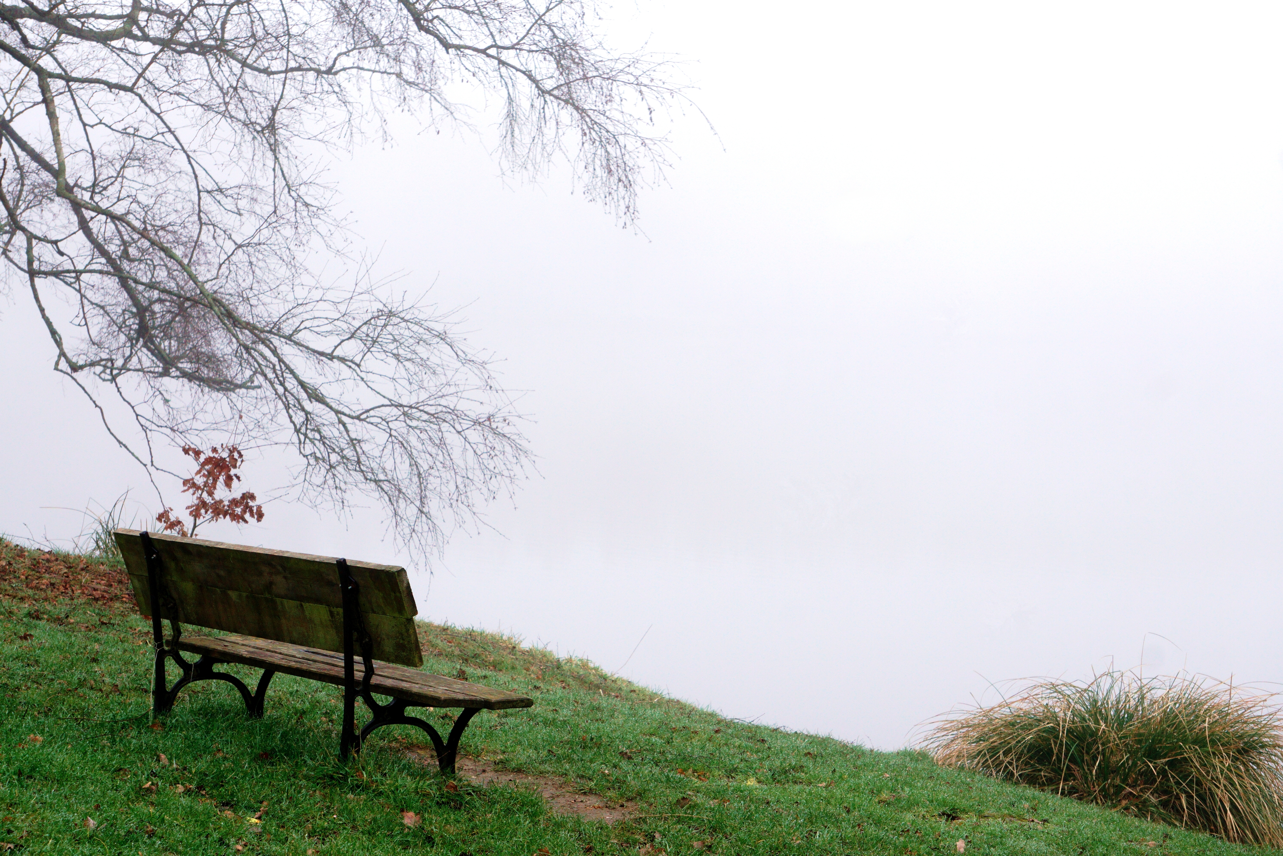 L&rsquo;étang de pose