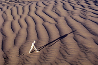 Exposition Escapade &#8211; Du 4 au 31 juillet