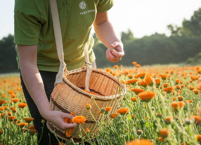 Les Ondes positives de Dame Nature