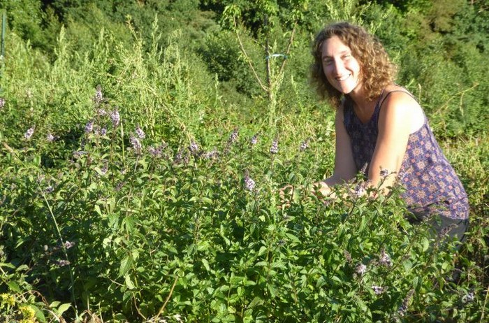 Flânerie Nature &#8211; Mercredi 8 juillet à 11h