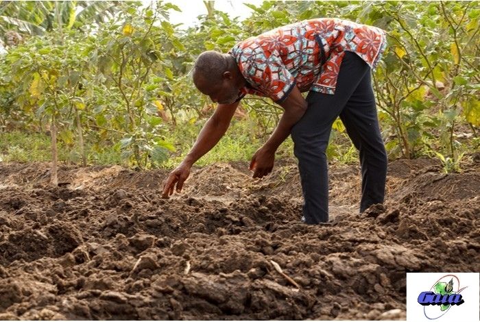 Conférence &#8211; L&rsquo;engagement humanitaire de Gaïa au Togo