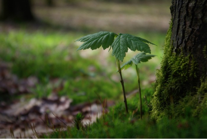 La Nature en couleurs