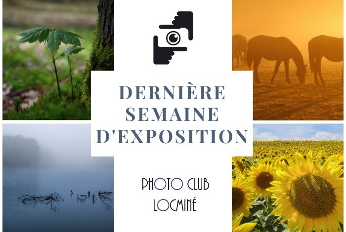 Dernière semaine d’exposition pour « La Nature en couleurs »