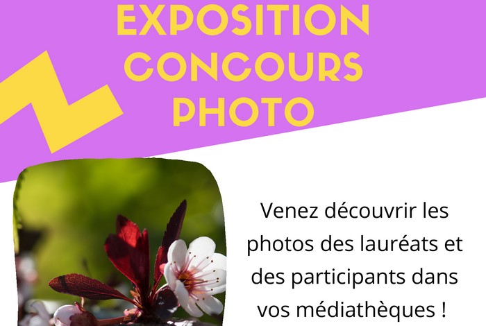 Expo concours photo du 01/06 au 19/06 à Locminé