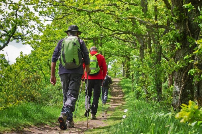 Flânerie baldivienne : les landes de Kerbraz
