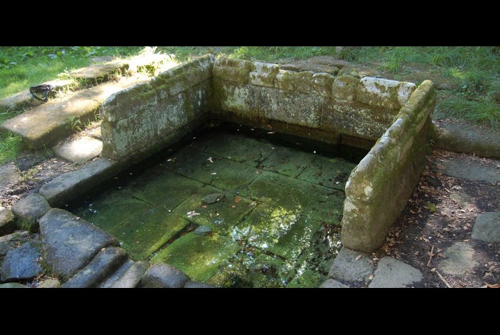 Conférence Les fontaines et eaux guérisseuses de Bretagne