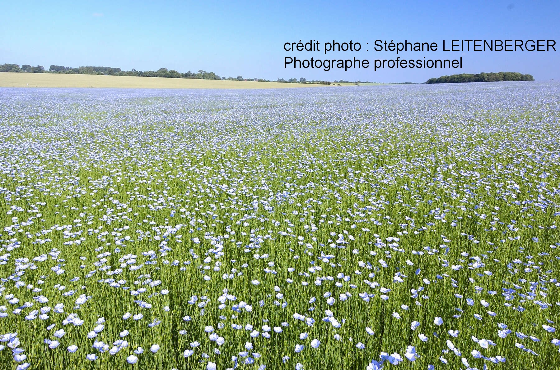 Conférence L&rsquo;or Bleu &#8211; L&rsquo;or vert de la Bretagne