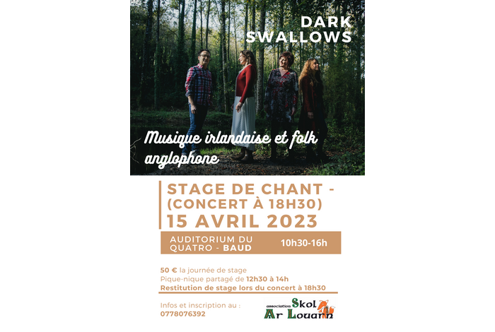 Participez au concert Dark Swallows