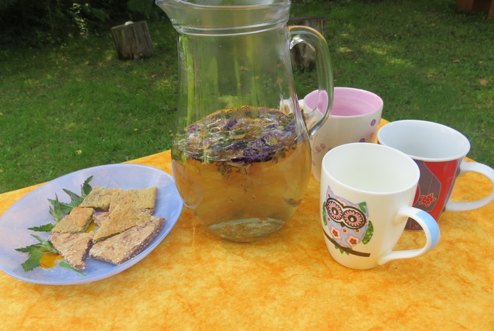 Atelier « Les plantes détox de l’équinoxe »