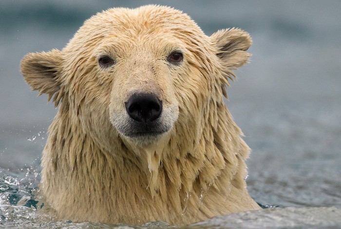 Causerie avec Jean Marie Séveno