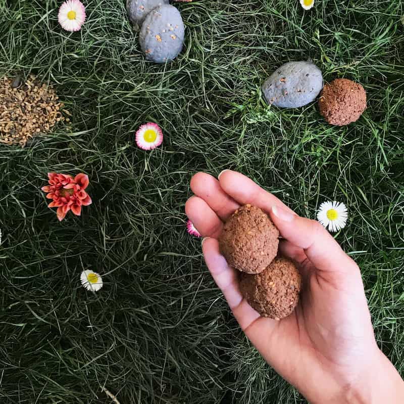 Atelier Fabrique des bombes à graines 11h30-12h