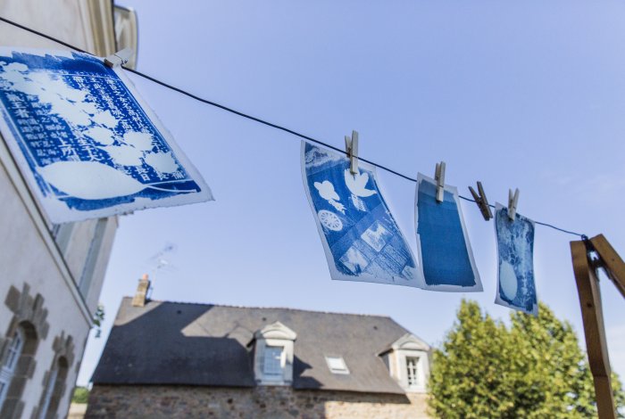 Atelier cyanotype