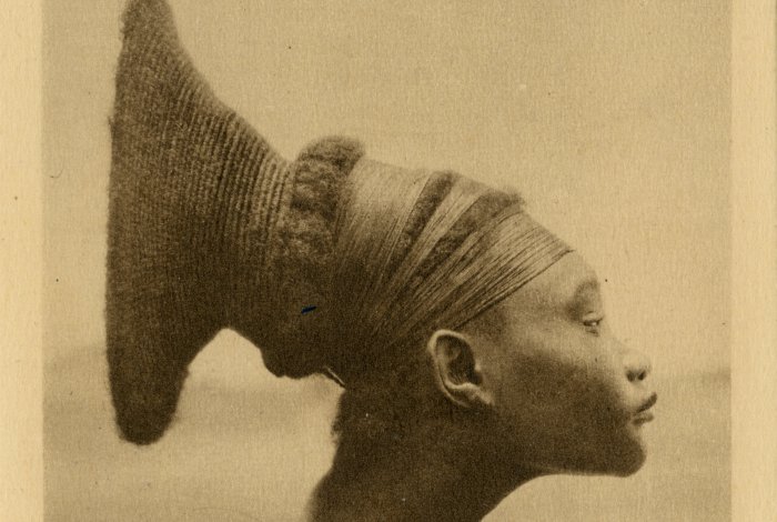 Vernissage de l&rsquo;exposition ExplorAfrique