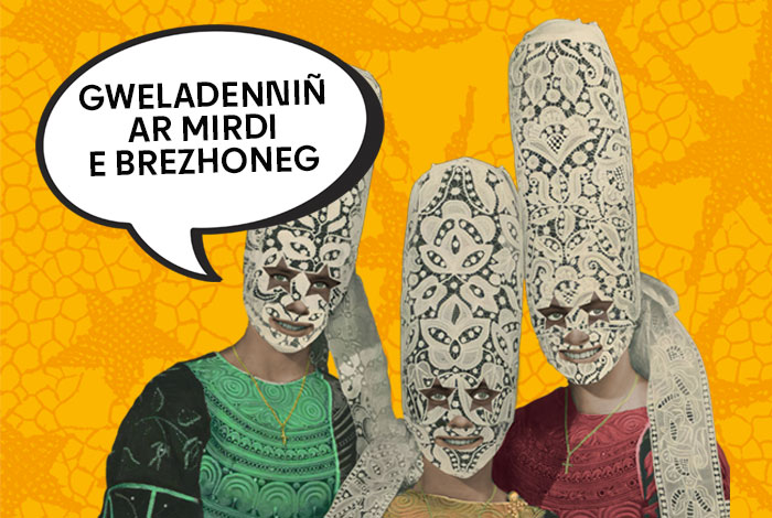 Gweladenniñ ar mirdi e brezhoneg / visite du musée en breton